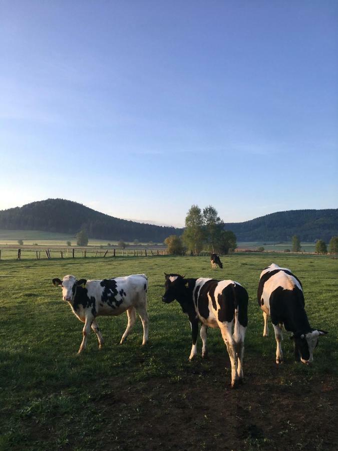 Siedem łanów Agroturismo Radkow